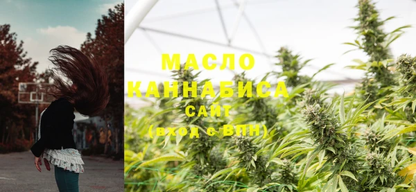 спиды Краснослободск