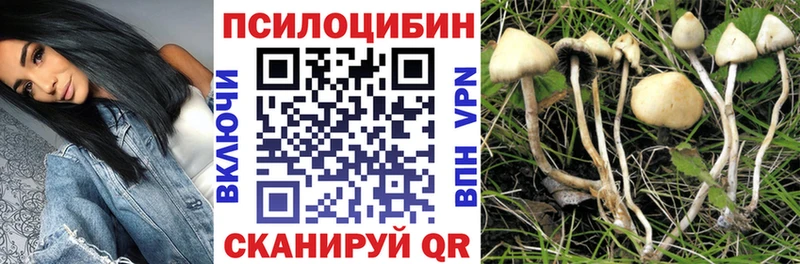 Псилоцибиновые грибы ЛСД  Мещовск 